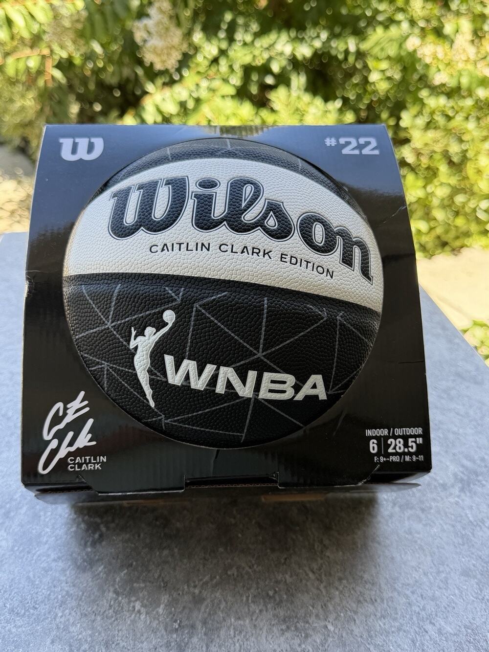 Caitlin Clark Ascent Wilson WNBA Basketball Size 6 Indoor/Outdoor – New in Box